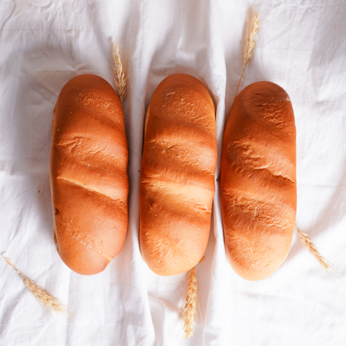 آموزش نانوایی وقتی واقعاً با دست شروع می‌شود